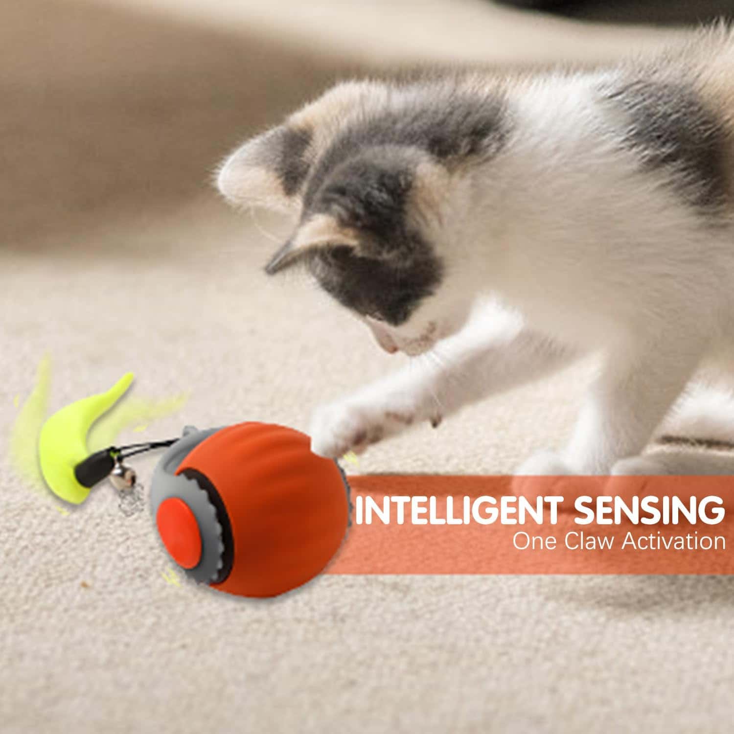 Interactive Pet Ball
