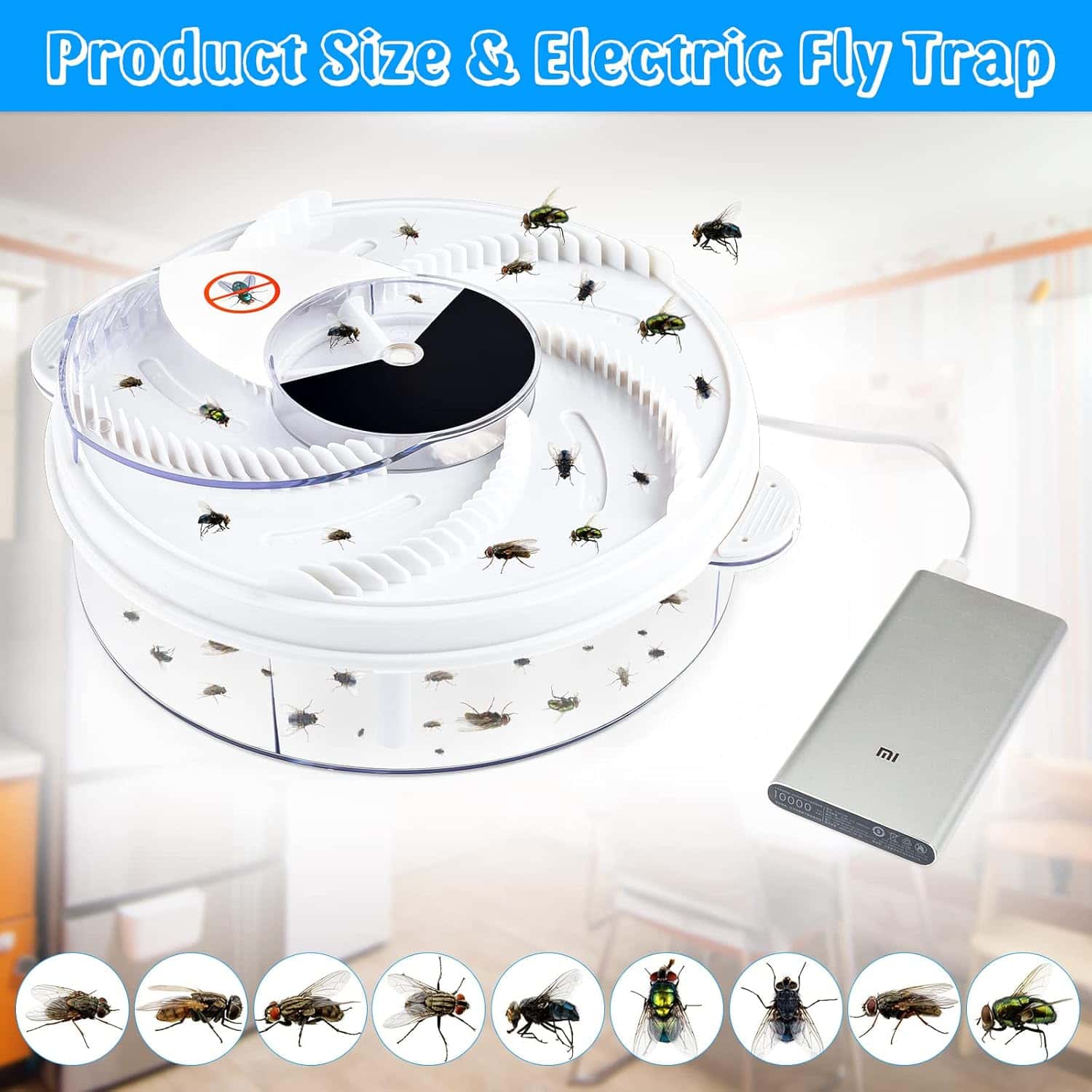 Electric Fly Trap