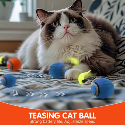 Interactive Pet Ball