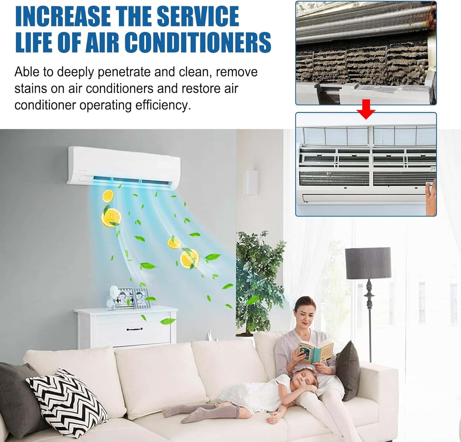 Air Conditioner Cleaner