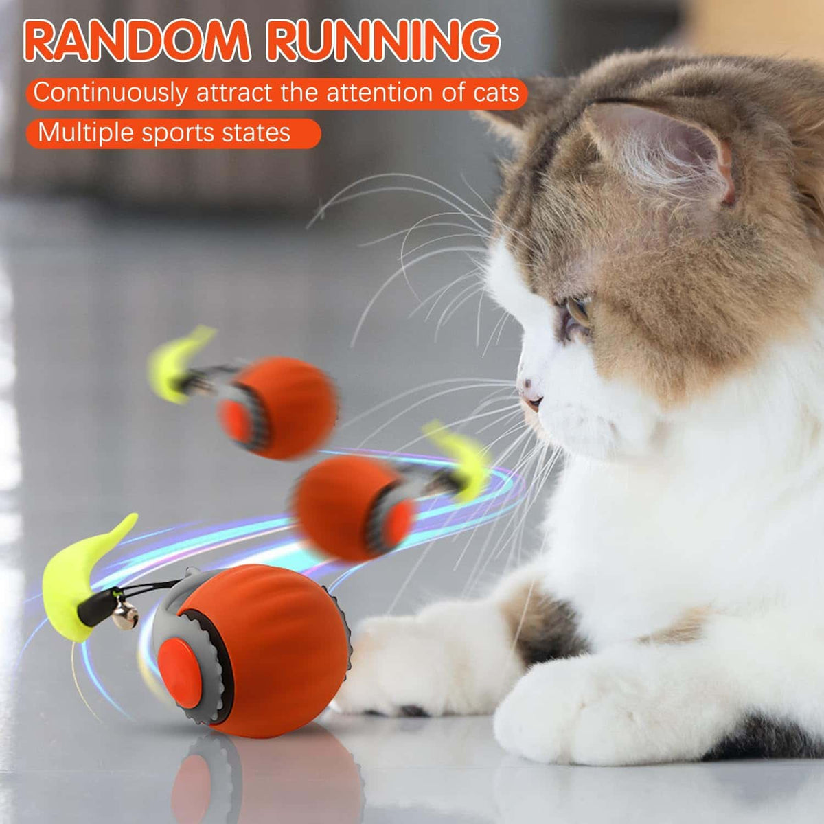 Interactive Pet Ball - Makfoul
