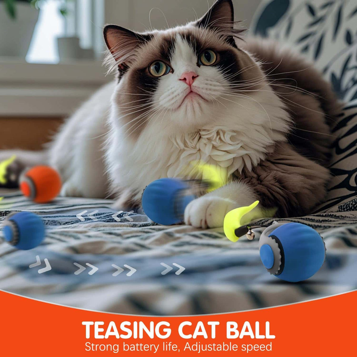 Interactive Pet Ball - Makfoul