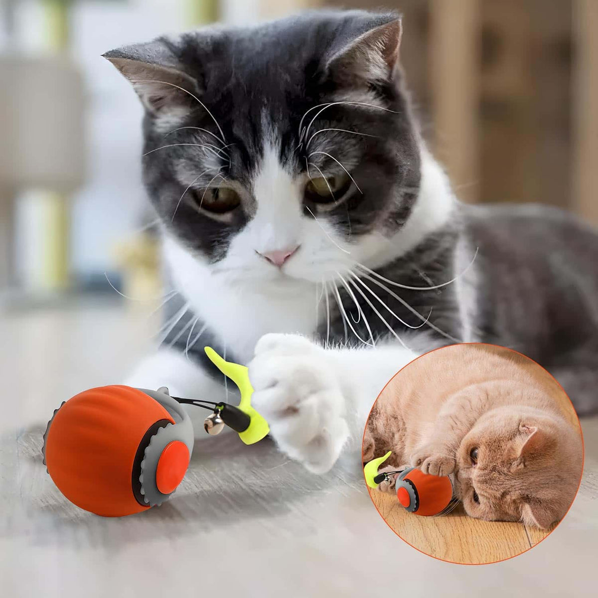 Interactive Pet Ball - Makfoul