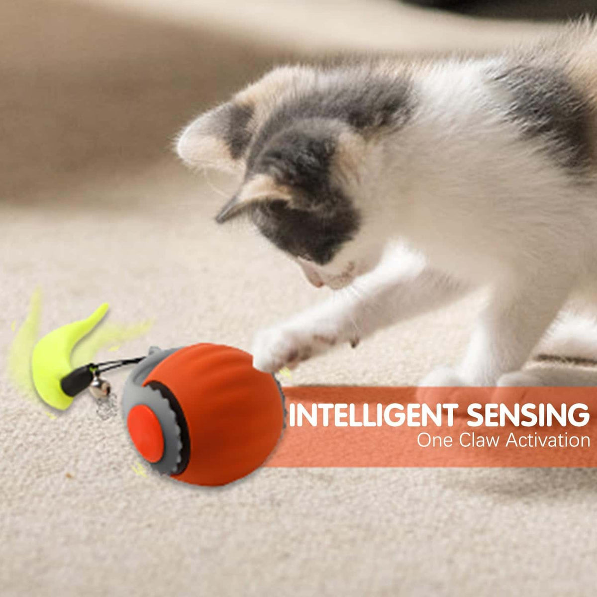 Interactive Pet Ball - Makfoul