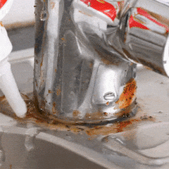 Mold Remover